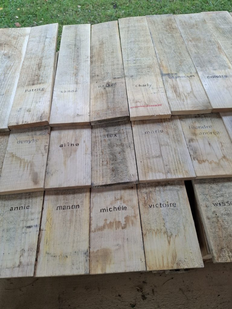 photo_2025-01-16_18-12-33 (2)